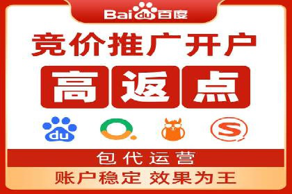 SEM搜索引擎优化案例：如何提升网站流量和转化率