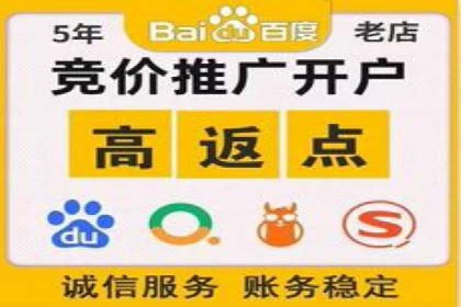 竞价代运营的案例研究：如何精准投放广告并获得回报
